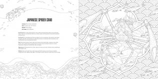 Animals Coloring Book Box Set фото книги 10