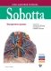 Sobotta. Атлас анатомии человека том 2, изд.2 фото книги маленькое 2