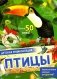 Птицы фото книги маленькое 2