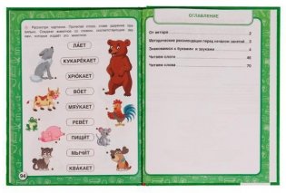 Пошаговая система обучения чтению. С нуля до чтения первых слов. фото книги 2