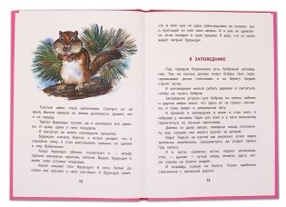 Хитрый бурундук фото книги 4