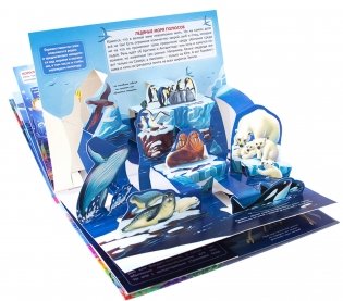 Живая планета. Моря и океаны. Книжка-панорамка фото книги 2