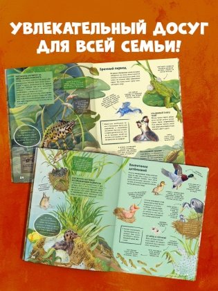 Секреты животных озера. Визуальная энциклопедия фото книги 4