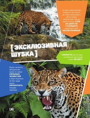 Большая энциклопедия о животных. 500 фотографий и фактов фото книги 7