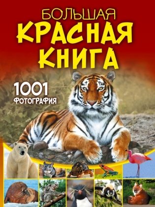 Большая красная книга. 1001 фотография фото книги