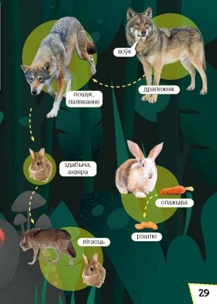 Жывёльны свет Беларусі. Узбагачаем слоўнікавы запас, выконваем заданні, пашыраем кругагляд (6-10 гадоў) фото книги 7