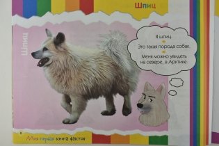 Моя первая книга фактов. Собаки фото книги 2