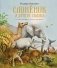 Слонёнок и другие сказки фото книги маленькое 2