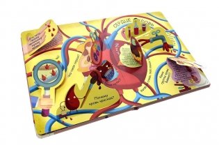 Волшебные окошки. Мое тело фото книги 2