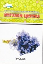 Изучаем цветы. Учебные карточки фото книги
