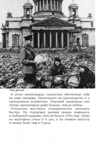 Блокада Ленинграда. Размышления о подвиге и трагедии фото книги 8