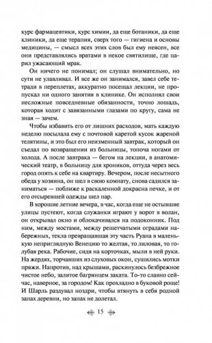 Госпожа Бовари фото книги 15