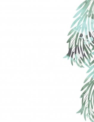 Мой первый гербарий. Цветы и листья фото книги 8