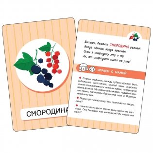 Первые слова. Фрукты и овощи фото книги 2