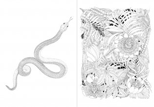 Leila Duly's Beautiful Planet: An Intricate Coloring Book фото книги 5