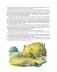 Хоббит, или туда и обратно фото книги маленькое 9
