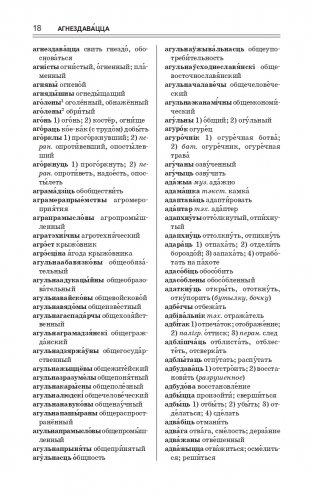 Найноўшы беларуска-рускi слоўнiк. Новейший русско-белорусский словарь фото книги 18