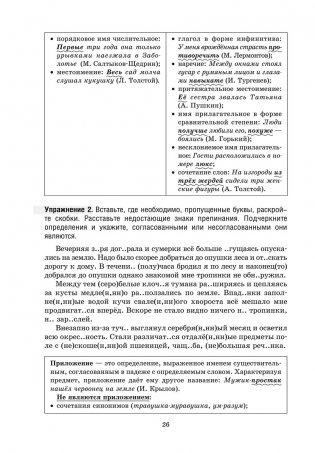 Русский язык на "отлично". 11 класс фото книги 9