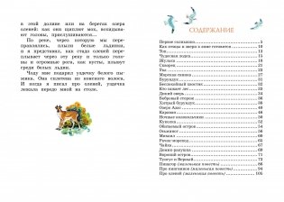 Беспокойный хвостик фото книги 8