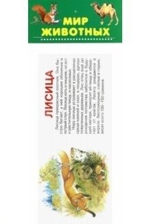 Набор карточек. Мир животных фото книги