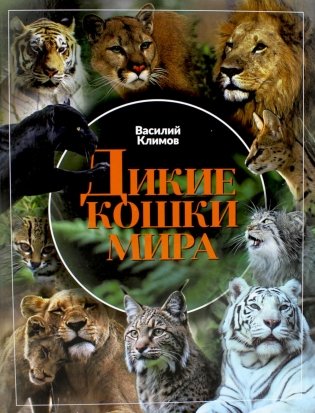 Дикие кошки мира фото книги