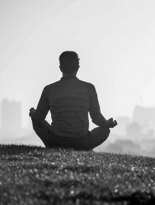 Поймать большую рыбу фото книги 7