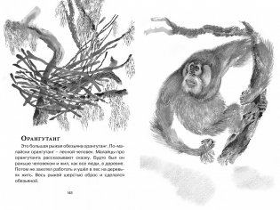 Друзья фото книги 7