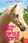 Palomino Pony Comes Home фото книги маленькое 2