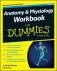 Anatomy and Physiology Workbook For Dummies фото книги маленькое 2