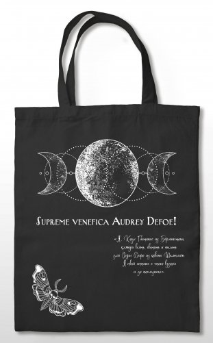 Сумка холщовая «Ковен озера Шамплейн» фото книги