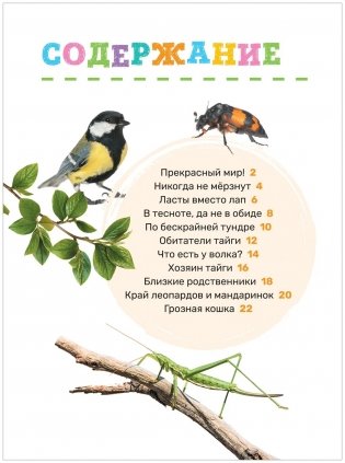 Животные. Первая энциклопедия малыша фото книги 2