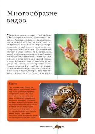 Животные. Иллюстрированный гид фото книги 6