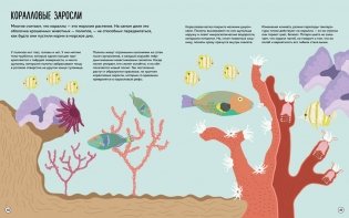 Что внутри? Как устроены дома животных фото книги 7