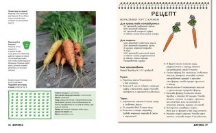 Мой первый огород. Посей, собери, съешь фото книги 5