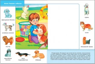 Школа семи гномов. Домашние питомцы фото книги 3