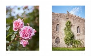 Roses in the Garden фото книги 2