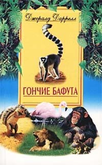 Гончие Бафута фото книги