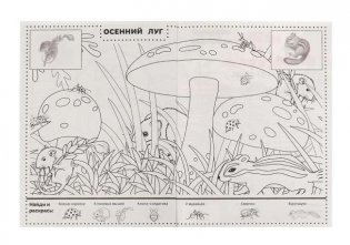Времена года. Раскраска "Найди и раскрась" с наклейками фото книги 4