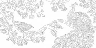 В волшебном лесу фото книги 3