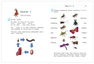 Изучаю мир вокруг Для детей 5-6 лет. Часть 2 фото книги 5