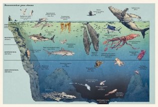 Океанариум фото книги 2