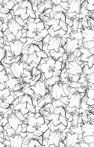 Зачарованный сад. Мини-раскраска-антистресс для творчества и вдохновения (обновленное издание) фото книги 18