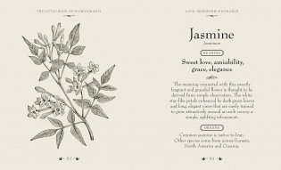 Little Book of Floriography: The Secret Language of Flowers фото книги 5