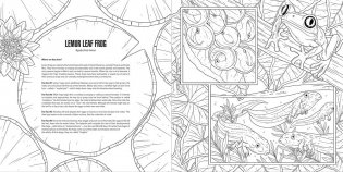 Baby animals: a smithsonian coloring book фото книги 11