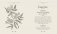Little Book of Floriography: The Secret Language of Flowers фото книги маленькое 6
