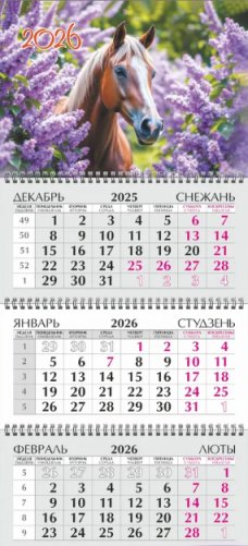 Квартальный календарь 2026 г. фото книги