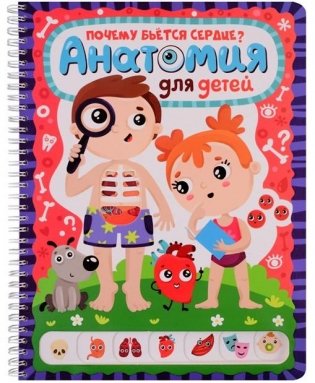 Почему бьётся сердце? Анатомия для детей. Энциклопедия. Книжка на пружине фото книги