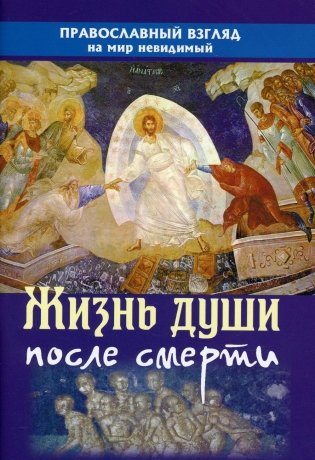Жизнь души после смерти. Православный взгляд на мир неведомый фото книги