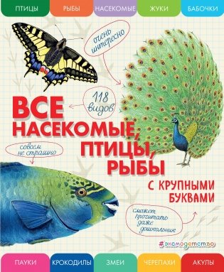 Все насекомые, птицы, рыбы с крупными буквами фото книги