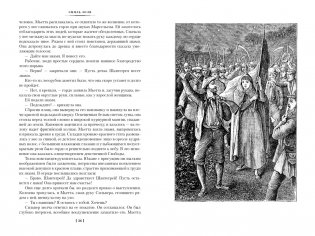 Карьера Ругонов. Его превосходительство Эжен Ругон. Добыча фото книги 3
